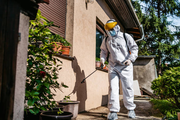 Best Residential Pest Control  in Steele, AL
