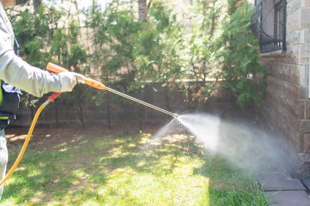 Best Bird Control  in Steele, AL