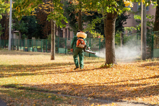 Best Local Pest Control Services  in Steele, AL