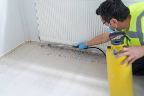 Best Affordable Pest Control Services  in Steele, AL
